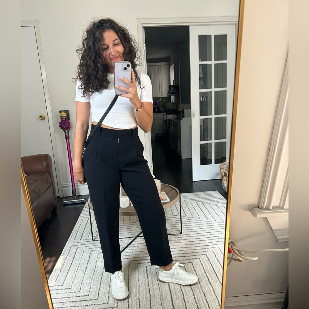 Aritzia Dashwood Pant